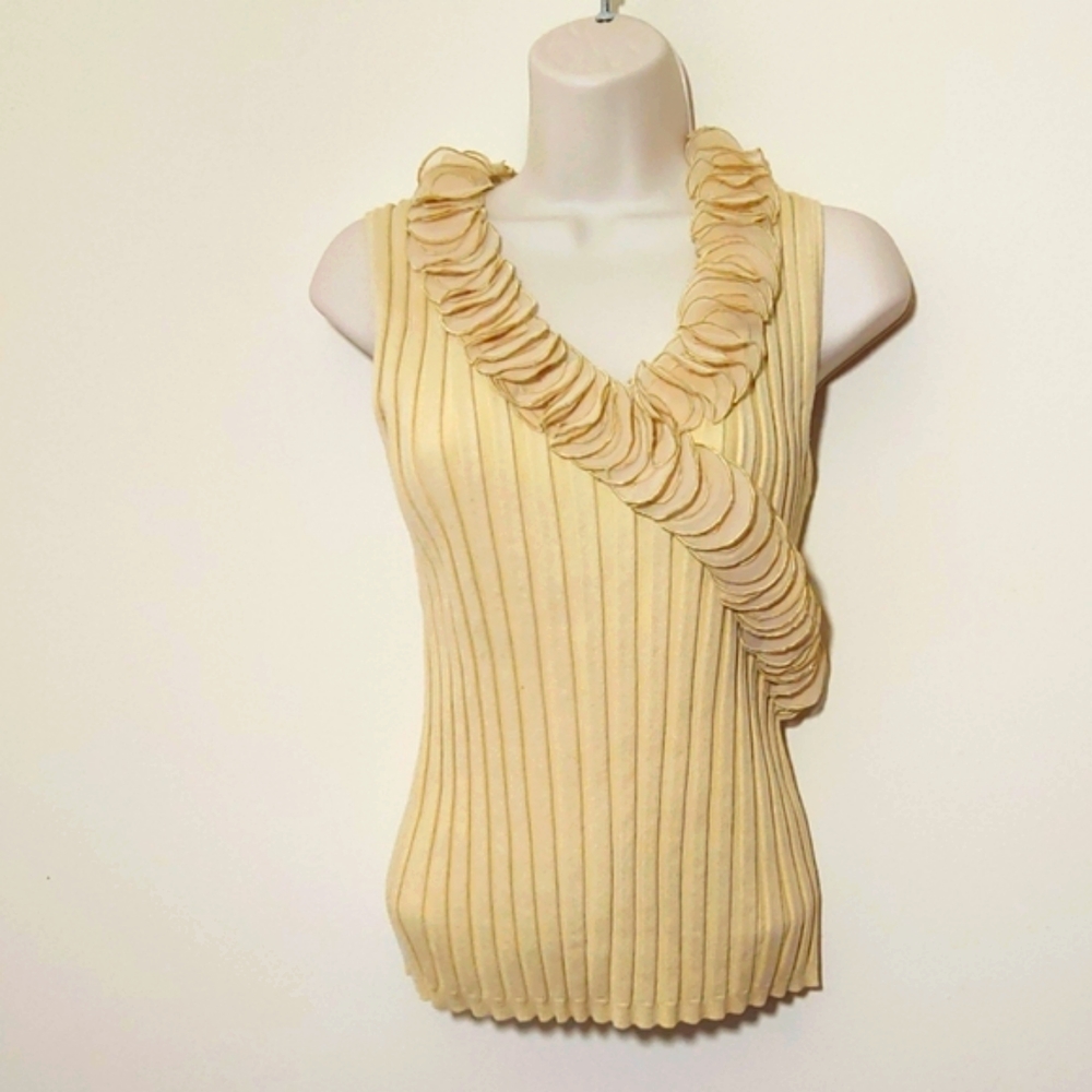 Evie Sz Large Stretch Pleated Dress Tank - Beige